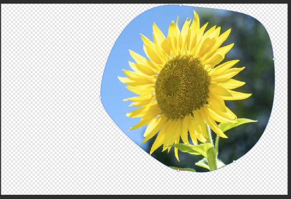 ペンツールで描いた図形で画像を切り抜いた後