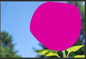 写真の上に置いたペンツールで描いた塗り有りの図形