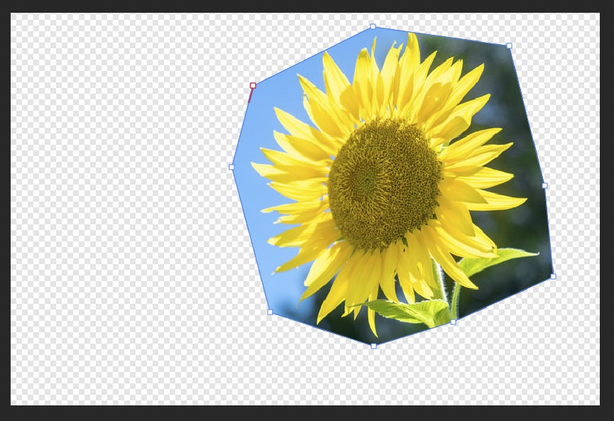 ペンツールで描いた図形で画像を切り抜いた後