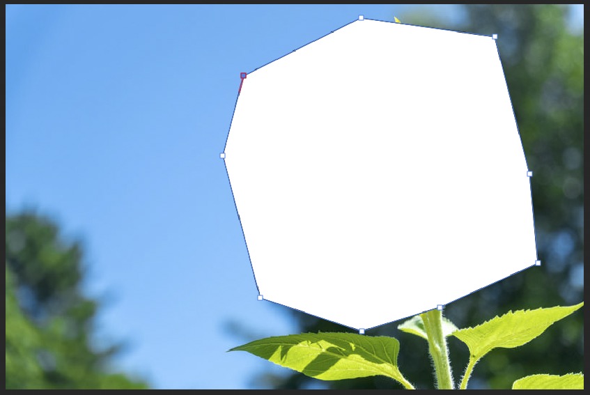 写真の上に置いたペンツールで描いた、塗り有りの図形