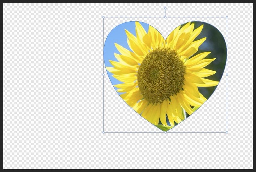 シェイプで画像を切り抜いた後